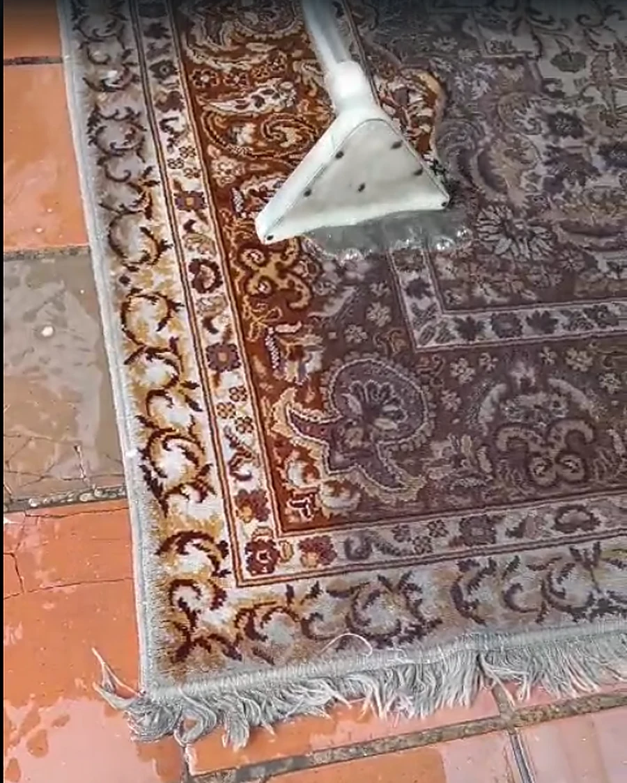 Lavado de tapete con extractora de agua caliente